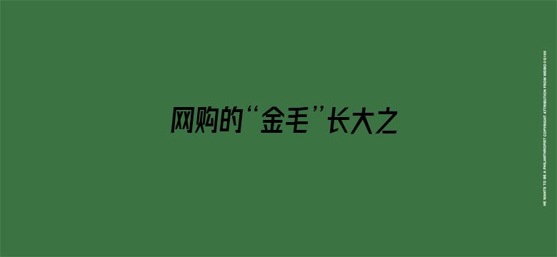 网购的“金毛”长大之后